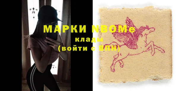 прущие грибы Тында