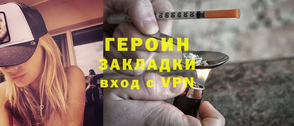 прущие грибы Тында