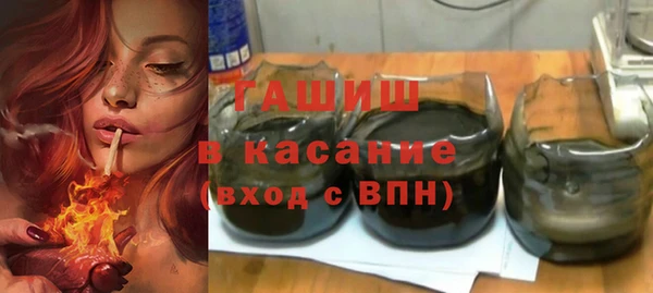 прущие грибы Тында