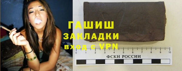прущие грибы Тында