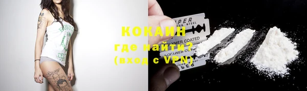 прущие грибы Тында