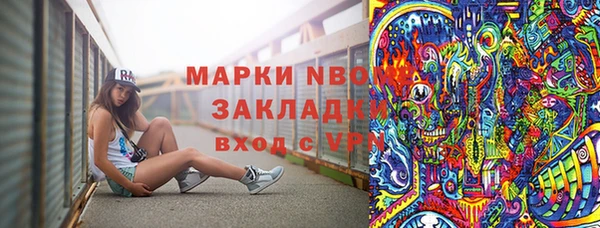 стаф Туринск