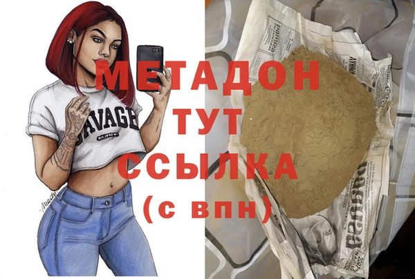 прущие грибы Тында