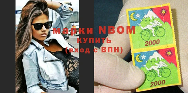 прущие грибы Тында