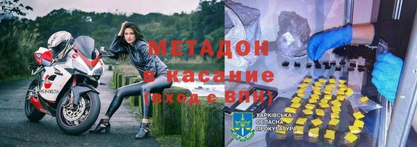 прущие грибы Тында
