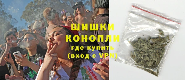 стаф Туринск