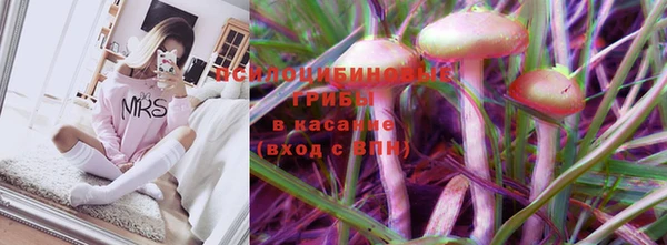 стаф Туринск