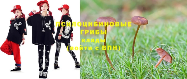 прущие грибы Тында