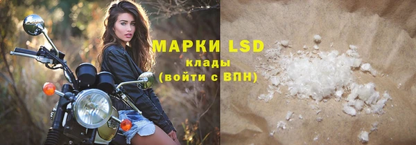 стаф Туринск