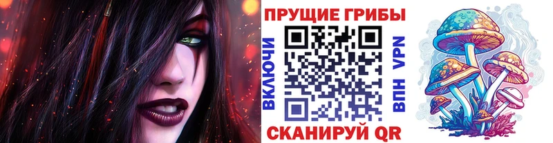 Галлюциногенные грибы Psilocybe  Пятигорск 