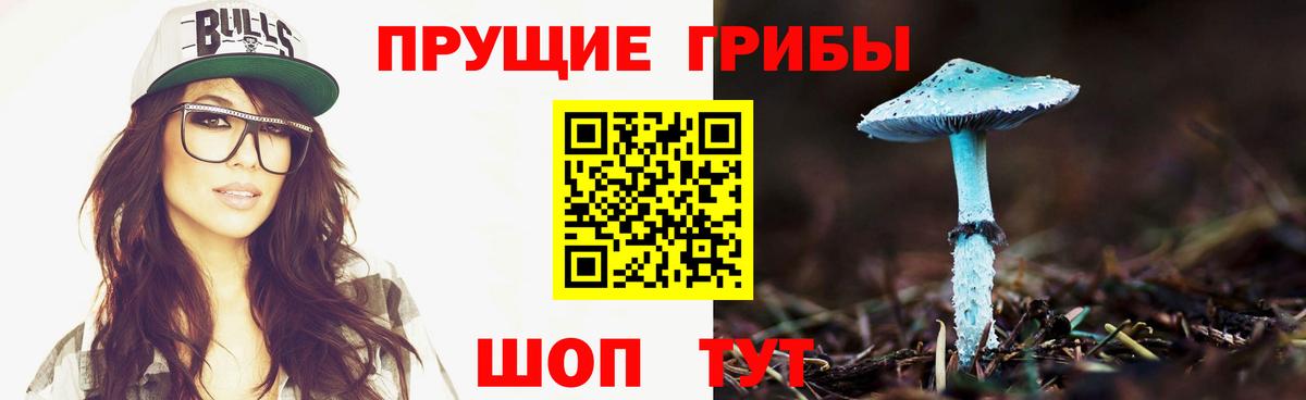 Псилоцибиновые грибы Psilocybine cubensis  Псилоцибиновые грибы Psilocybine cubensis  Вход с VPN  Пятигорск 