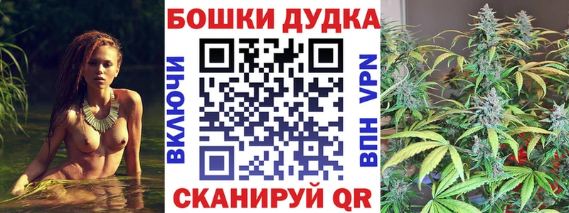 Конопля индика  Пятигорск 