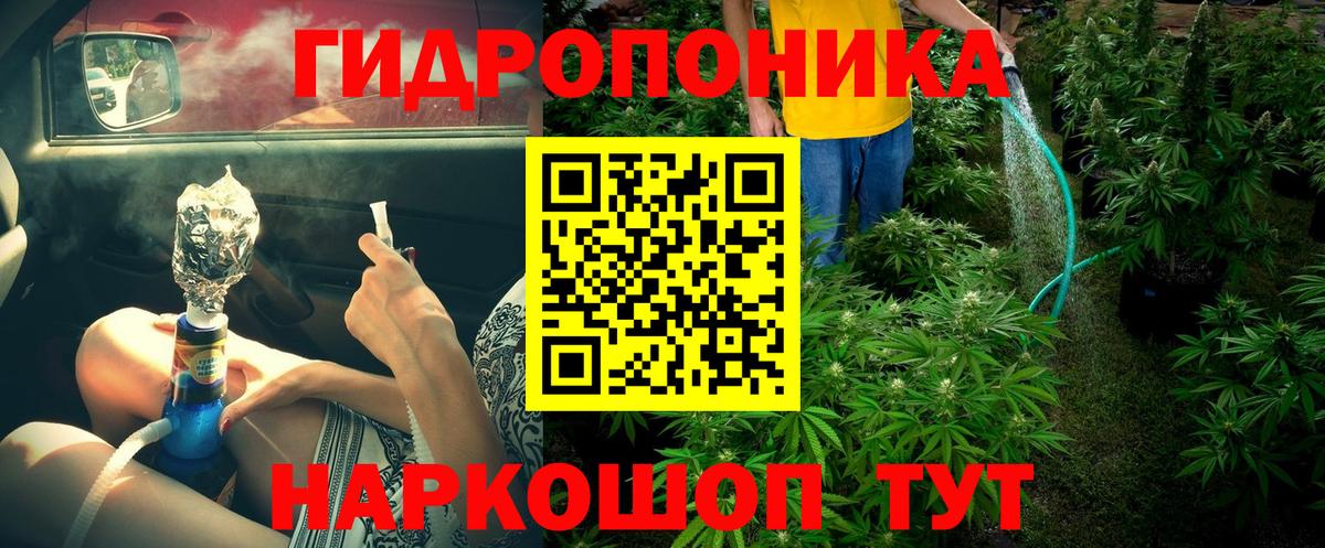 Марихуана сатива  МАРИХУАНА OG Kush  Пятигорск  Конопля SATIVA & INDICA 